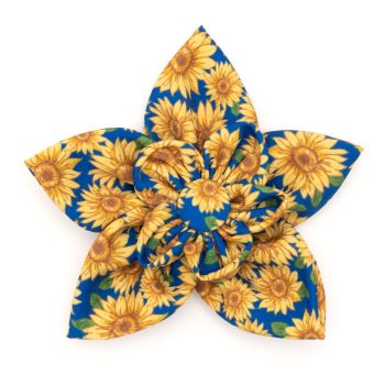 Sunflowers Flower