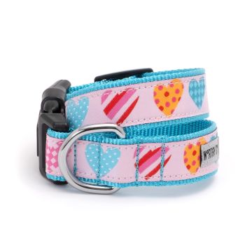 Love is Love Dog Collar