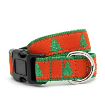 Shimmering Spruce Dog Collar