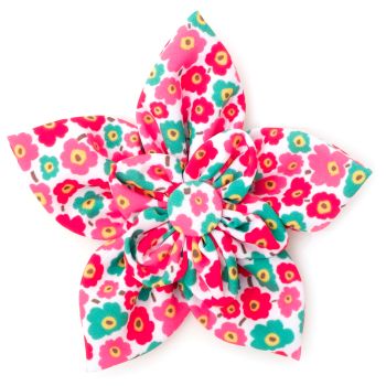 Fleurs Flower