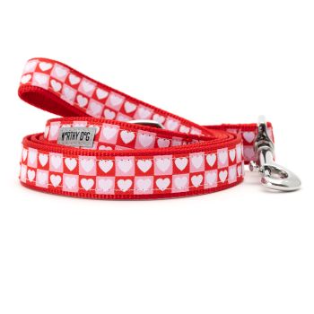 Colorblock Hearts Lead